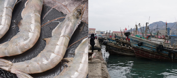 建造一個海鮮冷庫多少錢？